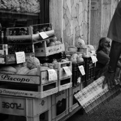 Foto tema cibo