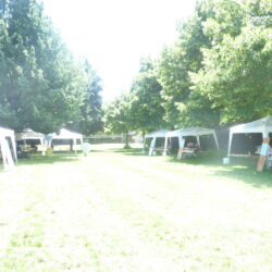 Fiera del Baratto 2015 - Work in Pogress