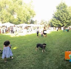 11 Fiera del Baratto 2016